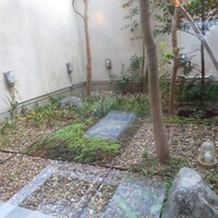 ヴェーナ - 中庭