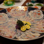 匠 - てっさ：宮崎日向灘産とらふぐ