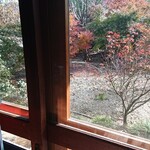 たらいうどん椛や - 外の紅葉がキレイでした