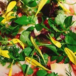 The INNOCENT CARVERY - 