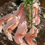 酒・喰・楽 かがやま - 