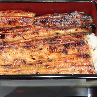 鰻・天ぷら割烹 萬木 - 鰻重（上）