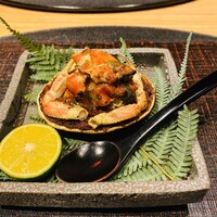小熊 - 
