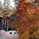 Tamano Ya - 深大寺も紅葉が深まってきたにゃ。