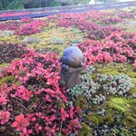 和カフェ たらそ - 