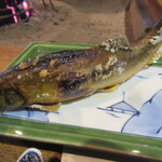 柳家 - 岐阜の鮎