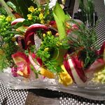 レストラン バカール - バーニャカウダ