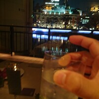 スミレオオサカ -  スミレオオサカ -