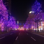 La Cime - 夜の御堂筋