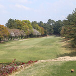 エリエールゴルフクラブ - H8 PAR4　少しだけ桜が残っていました。