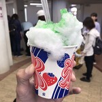 辻堂海浜公園 交通公園 売店 - かき氷