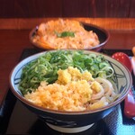 Marugame Seimen - ぶっかけ冷並と親子丼小