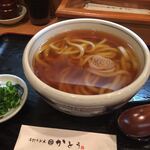 手打うどん かとう - かけうどん