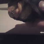 六雁 - 煮蛤の手巻き