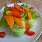 ドットリーノ ピッツェリア ストゥッツィケリア - グランデセットのサラダ