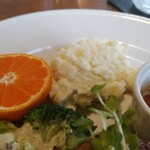 アルバトロス - 