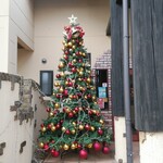 アルバトロス - 