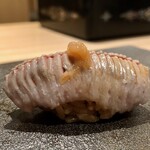 はっこく - 2019.11.  鰯