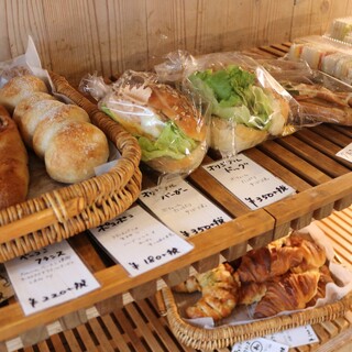 ココ・キラリ_0