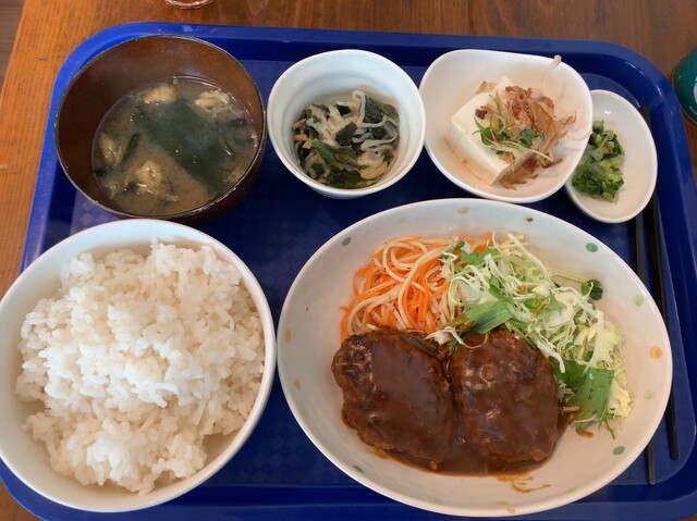 ごはん屋さん はとり 半蔵門 定食 食堂 食べログ ごはん屋さん はとり 半蔵門 定食 食堂 食べログ