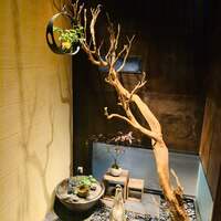 島之内 一陽 - 内観1