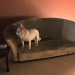 エクシブ湯河原離宮 - 