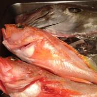 炭火焼イタリアン 海串 ブラーチェ - 