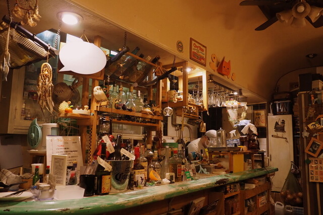 Cook Dolphin photo 4