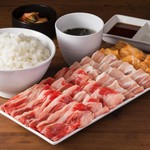 Mega plate (rose ribs: sauce & pork ribs: miso sauce & hormones: sauce: 300g)