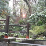 海石榴 - 露天からの眺め