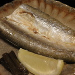 海石榴 - 太刀魚