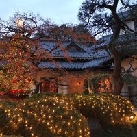 横浜うかい亭 - 