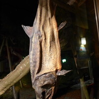 料亭 能登新 - 一年以上干した塩引き鮭は、塩気と旨味が高度に凝縮。スライスして「酒びたし」として供される