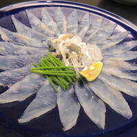 春帆楼 下関本店 - 【とらふぐ薄造り】