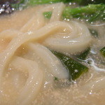 Kuu - 春三昧　白胡麻うどん950円