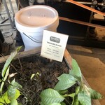 Maison Marou Saigon - 