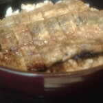 Oshouzu Unagi Zaikyou Ryourisan Kyo - 