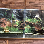 中国四川料理 秀峰 - 待合室は観賞用の金魚が。