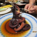 小松屋渚館 - タコの姿煮