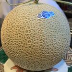 新和食 きくい - 