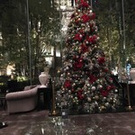 Shefu Zu Raibu Kicchin - ホテルのロビーにはクリスマスツリーが飾り付けてありました
