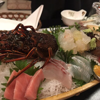 屋形船 品川 船清 - 