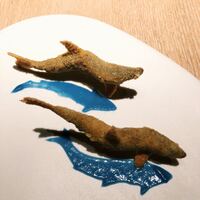 S'ACCAPAU - 
