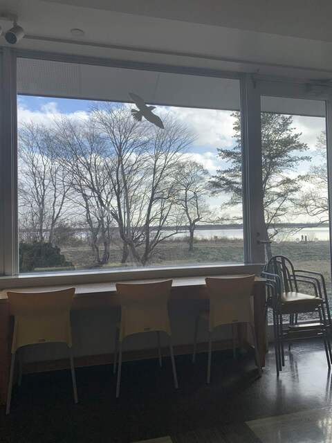 ラポ・ラポラ食堂 - 沼ノ端（食堂）の写真