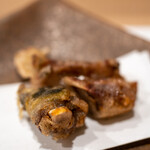 うを徳 - 2019.12 鹿児島天降川天然スッポン唐揚げ