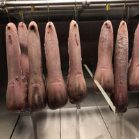 渋谷焼肉 KINTAN - 