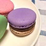 マカロンアラミーナ