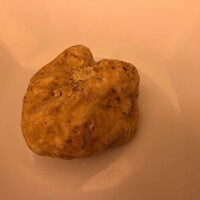 ピアット・スズキ - 