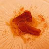 ピアット・スズキ - 