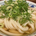 Marugame Seimen - 